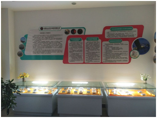 凯发k8·(中国)官网登录入口