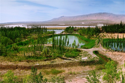 凯发k8·(中国)官网登录入口