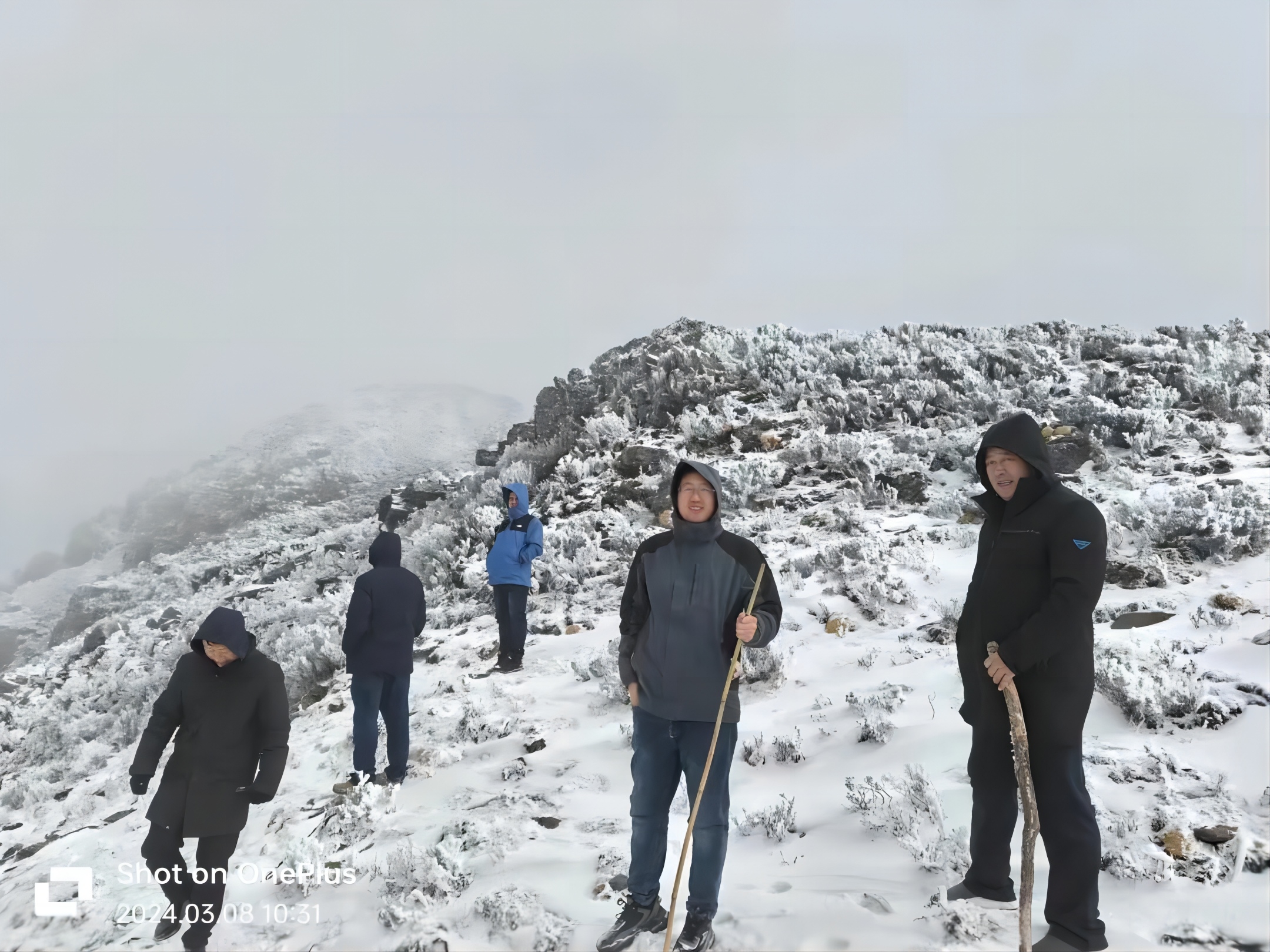 傲雪凌霜，，，，只为有“锂”