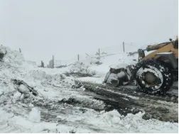 凯发k8·(中国)官网登录入口